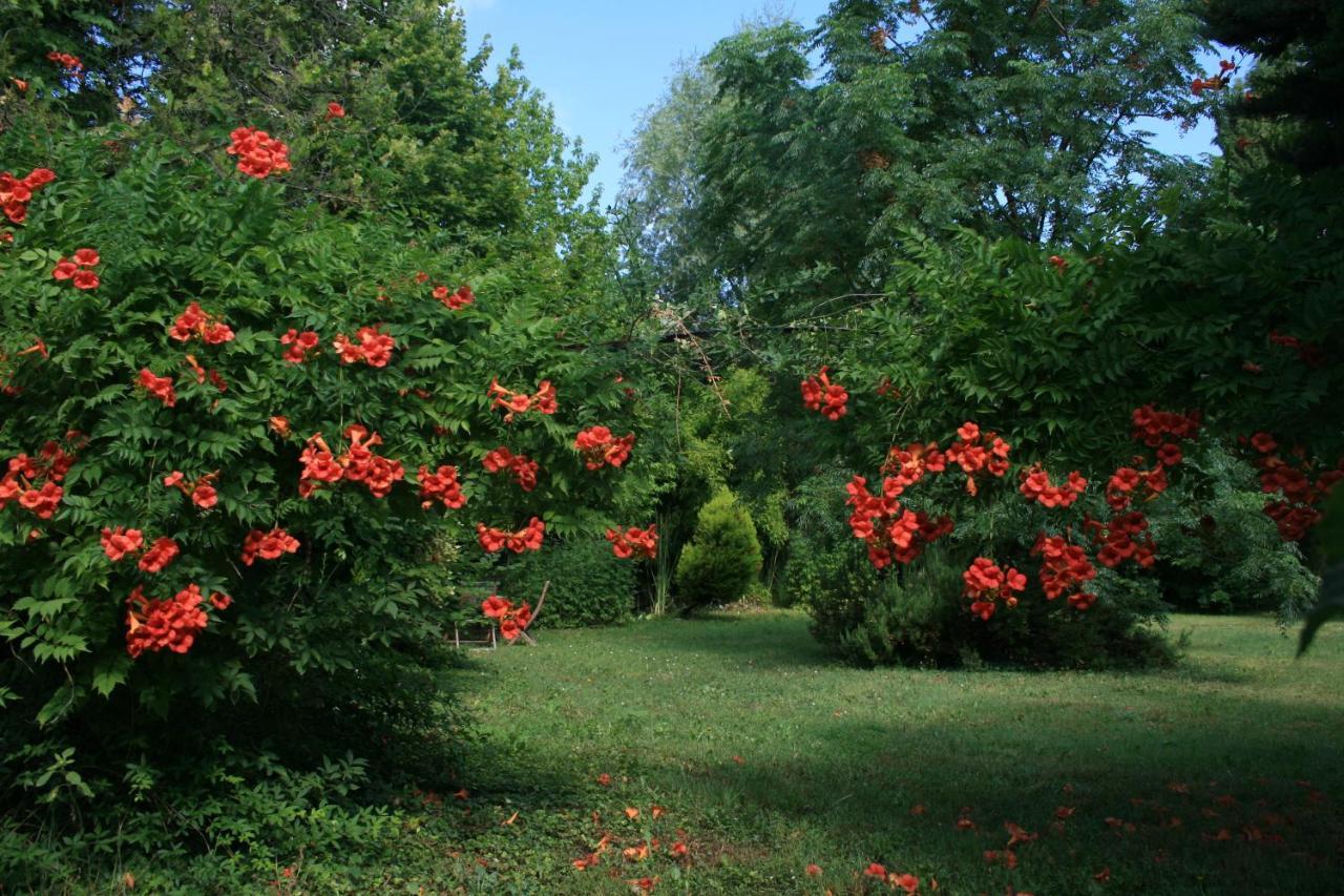 Le Mas De La Cigale Bleue, Caumont Sur Durance 外观 照片