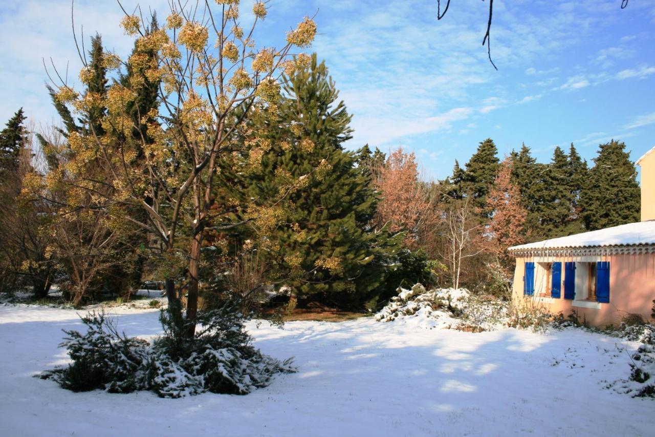 Le Mas De La Cigale Bleue, Caumont Sur Durance 外观 照片