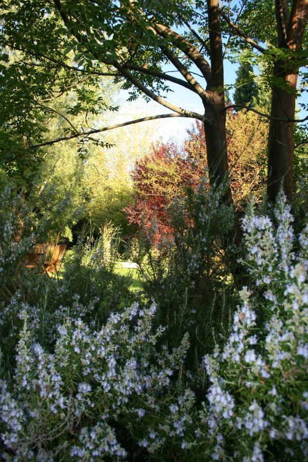 Le Mas De La Cigale Bleue, Caumont Sur Durance 外观 照片