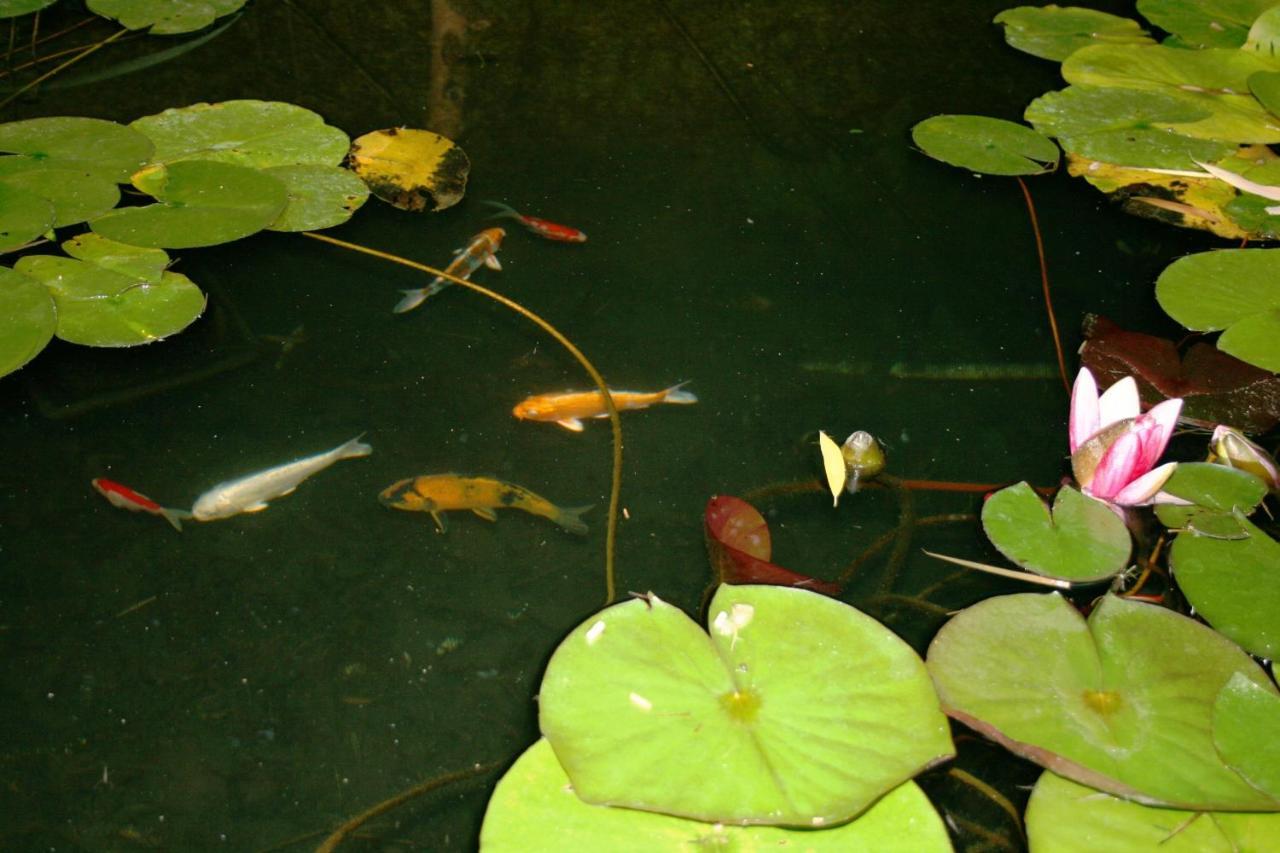 Le Mas De La Cigale Bleue, Caumont Sur Durance 外观 照片